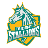 Team logo