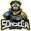 Sonseca Sultans Flag