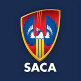 Team logo