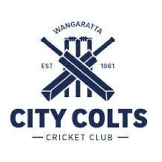 Team logo