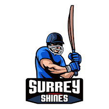 Team logo