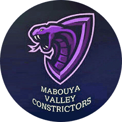 Team logo