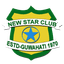 NSC Logo