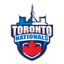 Toronto Nationals Flag