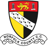 Team logo