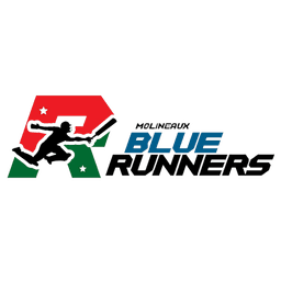 Team logo