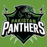 Team logo