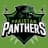 Pakistan Panthers-logo