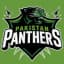 Pakistan Panthers Flag