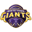 WTG Logo