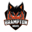 Brampton Wolves Flag