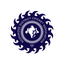 DCA Kozhikode Flag