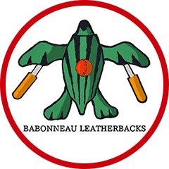Team logo
