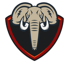 Team logo