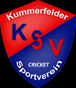 Team logo