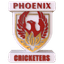 Phoenix Strikers Flag