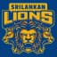 Sri Lankan Lions Flag