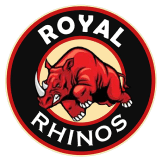 Team logo