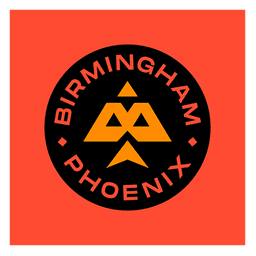 Team logo