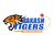 Aakash Tigers MWS Flag