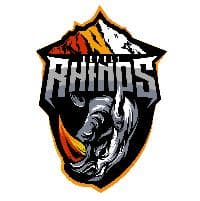 Team logo