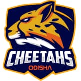 Team logo