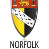 Team logo