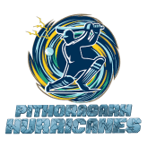 Team logo
