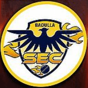 Team logo