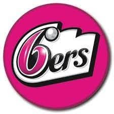 Team logo