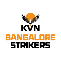 Team logo
