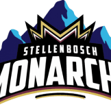 Team logo