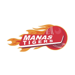 Team logo