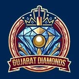 Team logo