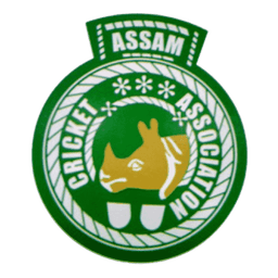 Team logo