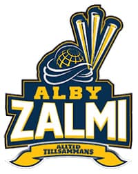 Team logo