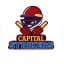 Capital Strikers Flag