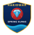 Haridwar Elmas-logo