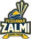 Team Logo