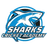 Sharks Cricket Academy Flag