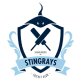 Team logo