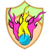 Team logo