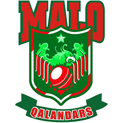Team logo