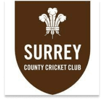 Team logo