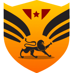 Team logo