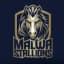Malwa Stallions Flag