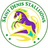 Saint Denis Stallions Flag