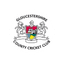 Gloucestershire Flag