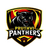 Pruthvi Panthers Flag