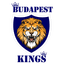 Budapest Super Kings Flag